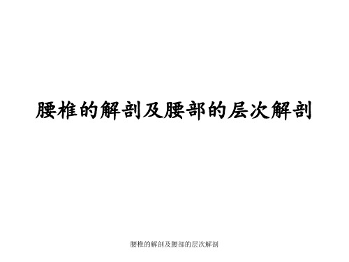 腰椎的解剖及腰部的层次解剖 ppt课件