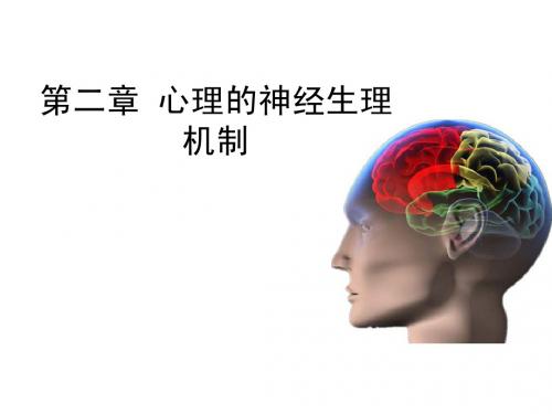 第二章 心理的神经生理机制