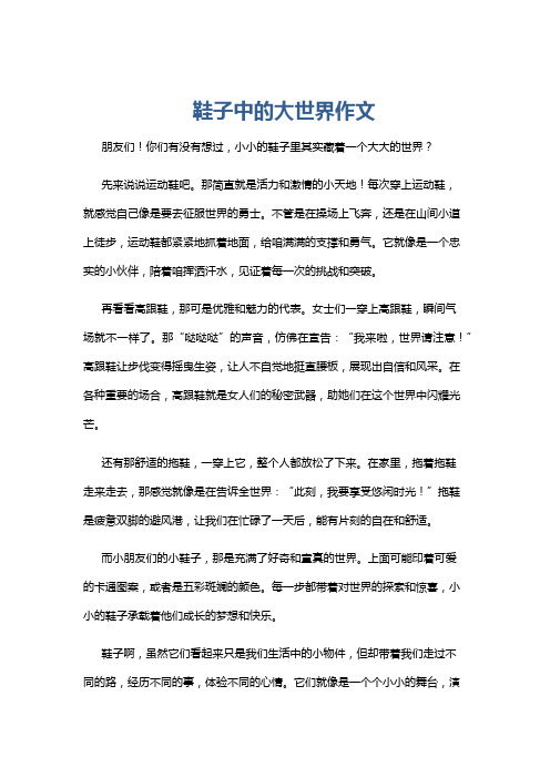 鞋子中的大世界作文