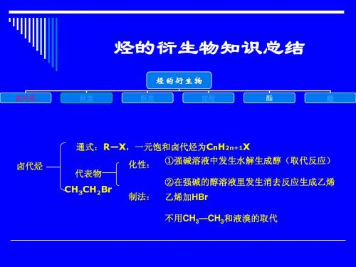 烃的衍生物知识总结