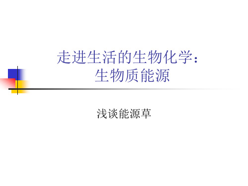 Z1222生物质能源燃料乙醇