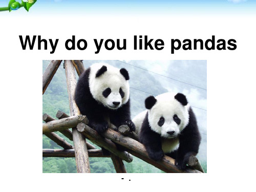 新人教版七年级英语下册unit5_Why_do_you_like_pandas__Sect