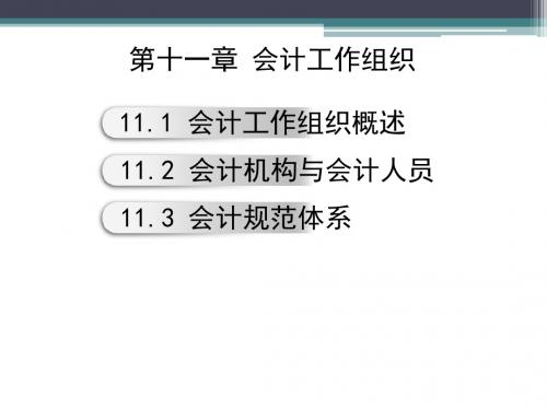 第十一章 会计工作组织