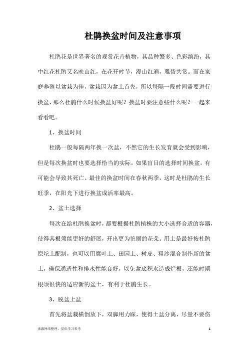 杜鹃换盆时间及注意事项