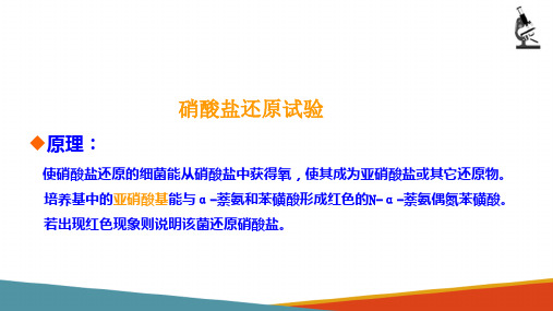 细菌的生化试验—硝酸盐还原实验(微生物检验课件)