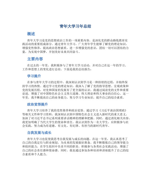 青年大学习年总结