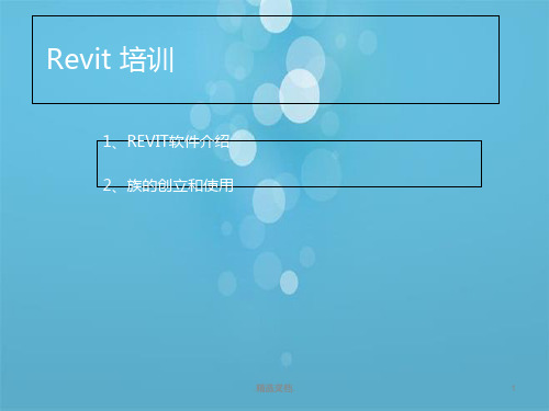 Revit培训PPT.ppt