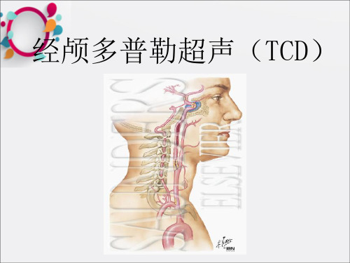 《经颅多普勒超声》PPT课件