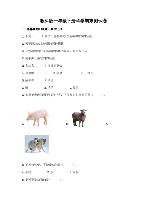 教科版一年级下册科学期末测试卷及答案【精品】