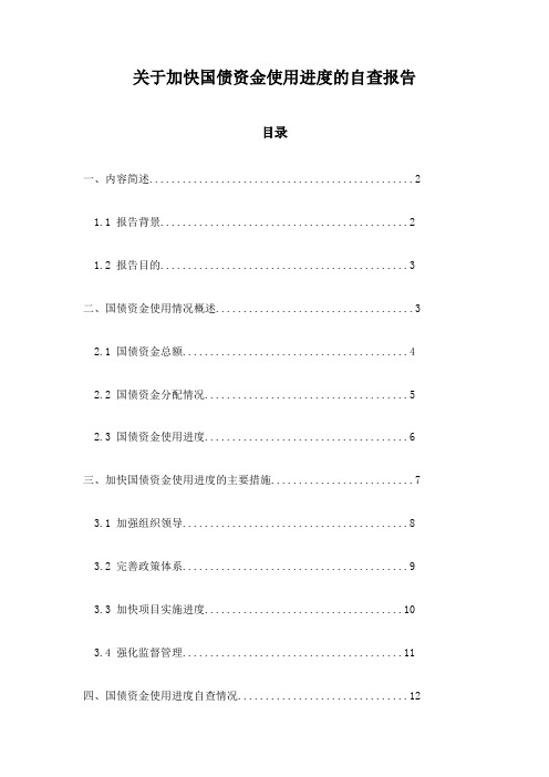 关于加快国债资金使用进度的自查报告