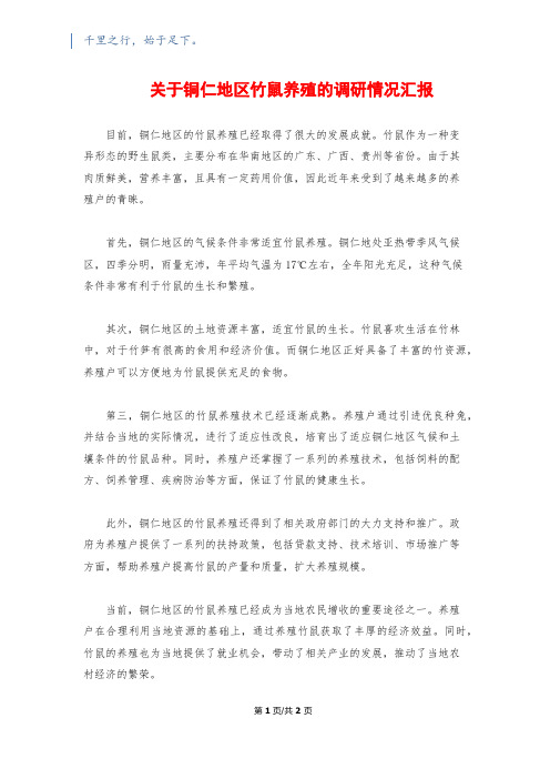 关于铜仁地区竹鼠养殖的调研情况汇报