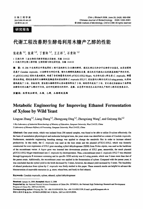 代谢工程改善野生酵母利用木糖产乙醇的性能