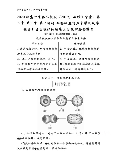 2020秋高一生物学案第1节 第2课时 动物细胞有丝分裂及观察根尖分生区组织细胞有丝分裂实验含解析