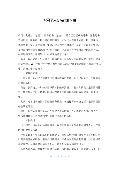 公司个人总结计划5篇