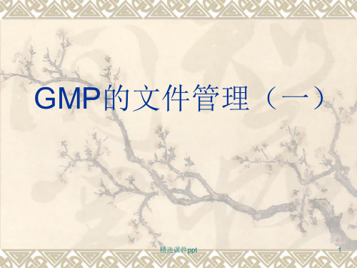 GMP的文件管理ppt课件