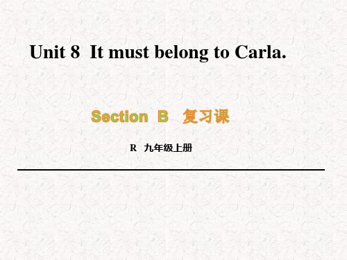 九年级英语人教版Unit 8 It must belong to Carla Revision 课件