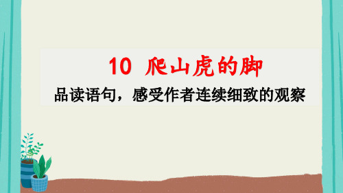 部编版语文四年级上册第3单元10爬山虎的脚