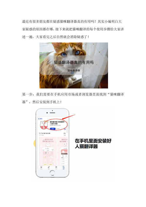 猫咪翻译器真的有用吗