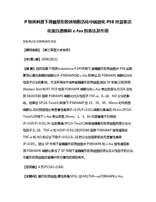 P物质刺激下脊髓星形胶质细胞活化中磷酸化P38丝裂素活化蛋白激酶和c-fos的表达及作用