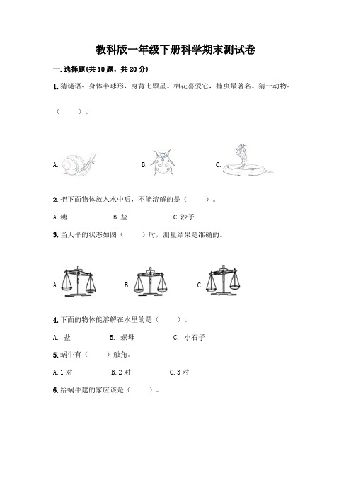 教科版一年级下册科学期末测试卷附参考答案(实用)