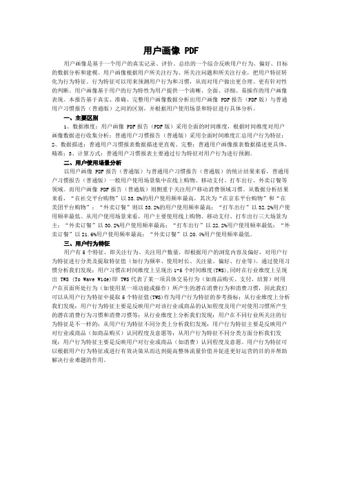 用户画像 PDF