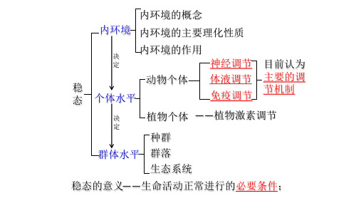 2023届高三生物一轮复习课件通过神经系统的调节