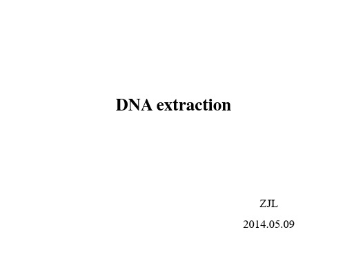 DNA提取原理和方法