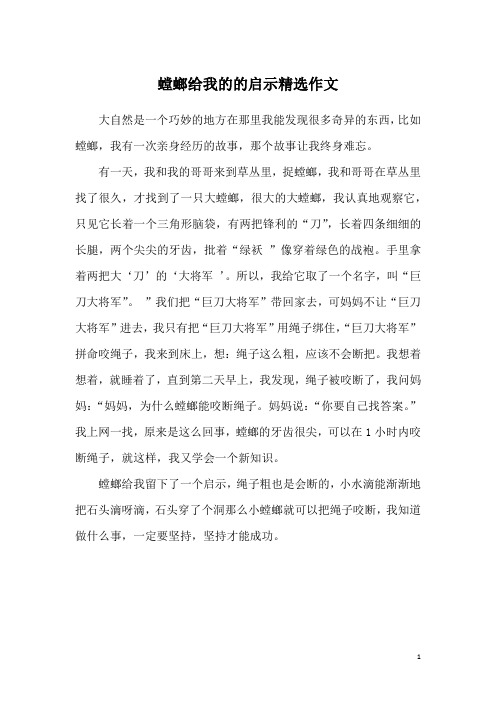 螳螂给我的的启示精选作文