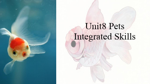 牛津译林英语七年级下册Unit8 Integrated skills(共22张PPT)