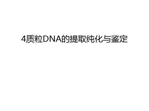 最新4质粒DNA的提取纯化与鉴定汇总