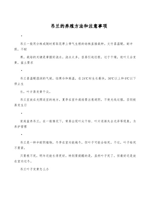 吊兰的养殖方法和注意事项