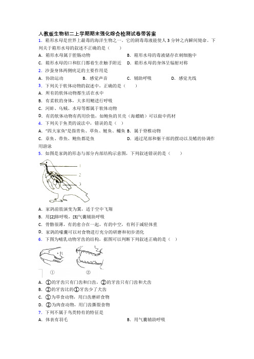 人教版生物初二上学期期末强化综合检测试卷带答案