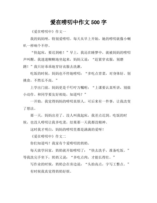 爱在唠叨中作文500字