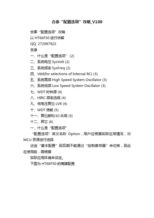 合泰“配置选项”攻略_V100