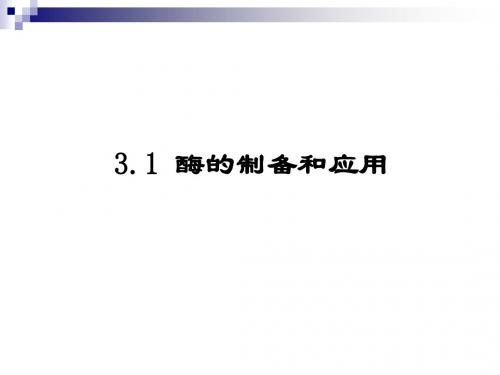 苏教版选修1 酶的制备和应用 课件(24张)