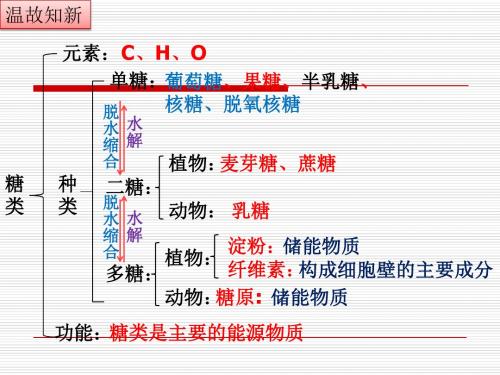 人教版高中生物必修一---第二章第五节----细胞中的无机物(修改)