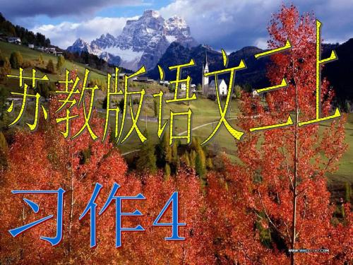苏教版语文三年级上习作4完美版