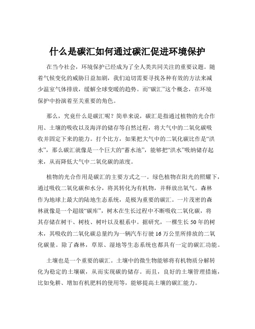 什么是碳汇如何通过碳汇促进环境保护