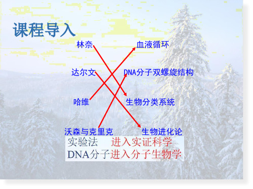 生物学研究的基本方法 北师大版七年级上册生物