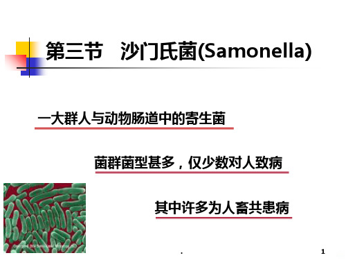 第四节沙门氏菌PPT课件