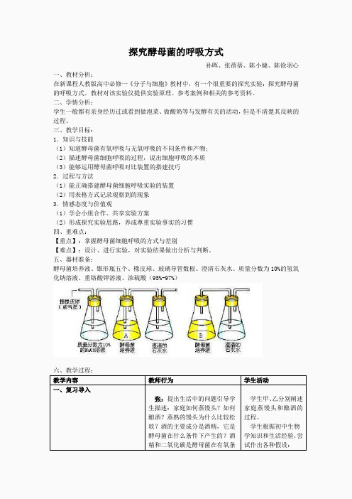 探究酵母菌的呼吸方式教案