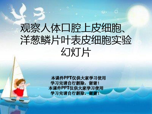 观察人体口腔上皮细胞、洋葱鳞片叶表皮细胞实验幻灯片