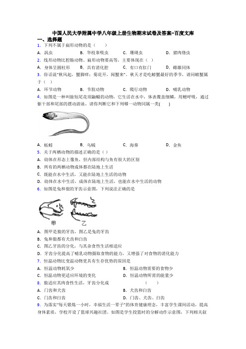 中国人民大学附属中学八年级上册生物期末试卷及答案-百度文库