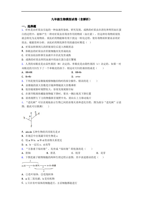 九年级生物模拟试卷(含解析)