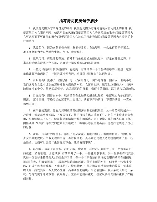 描写荷花优美句子摘抄