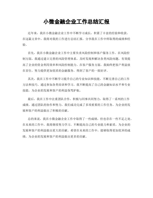 小微金融企业工作总结汇报