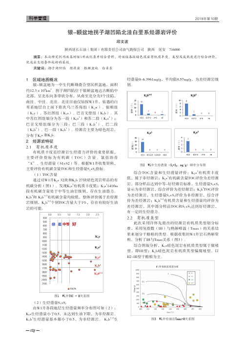 银-额盆地拐子湖凹陷北洼白垩系烃源岩评价