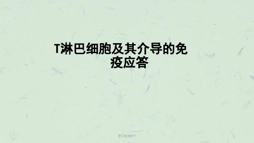 T淋巴细胞及其介导免疫ppt课件