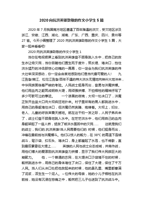 2020向抗洪英雄致敬的作文小学生5篇