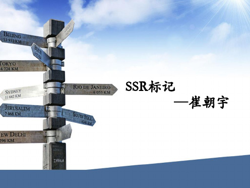 SSR分子标记